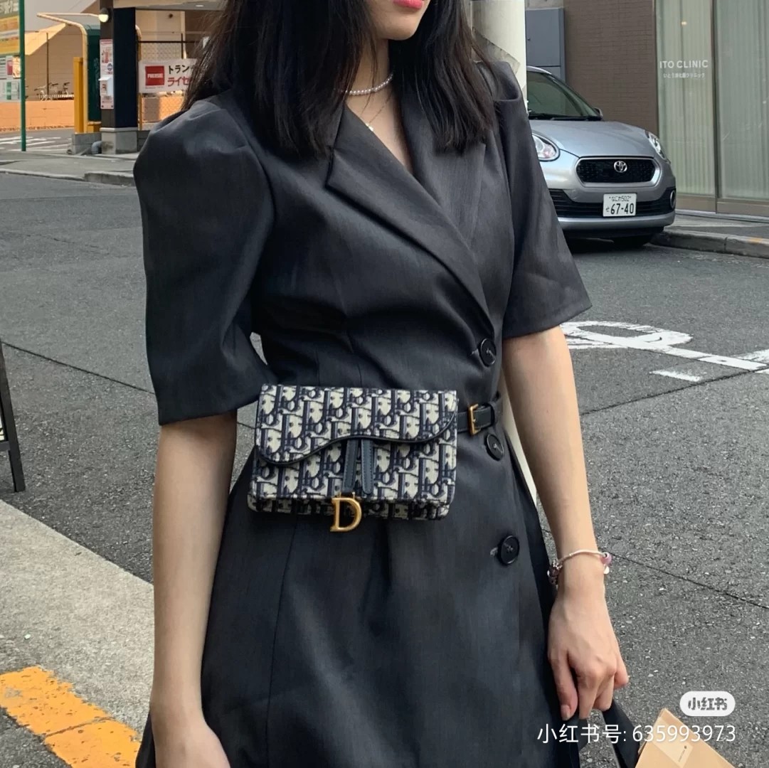 디올 오블리크 새들 벨트백